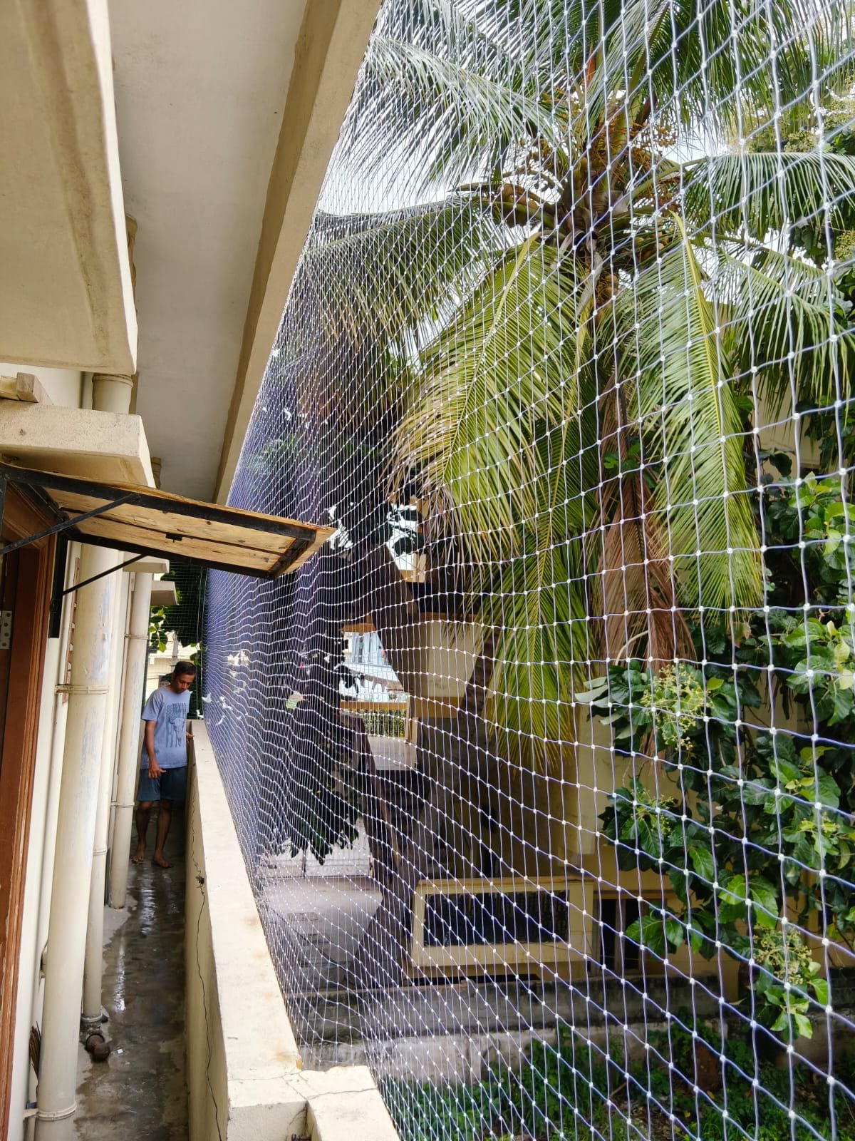Pigeon netting installation